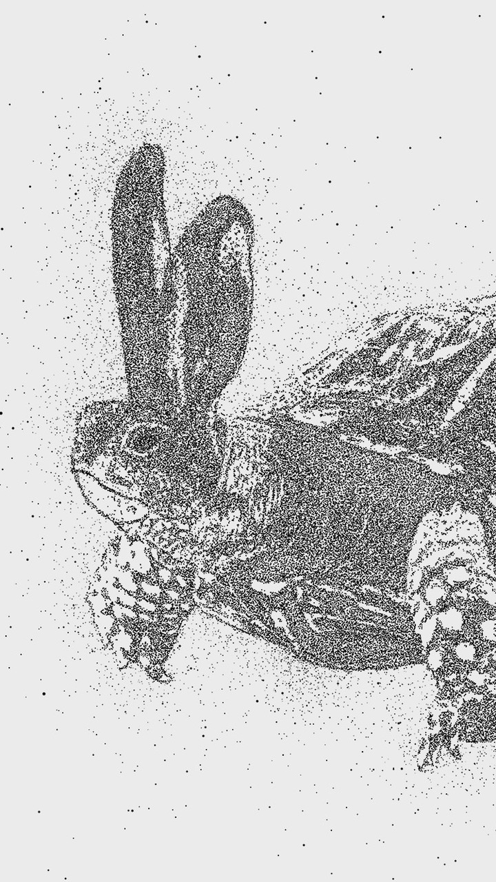 Markedsførring og branding referer både til den kortsigtede og langsigtede opfattelse af din organisation eller virksomhed. 